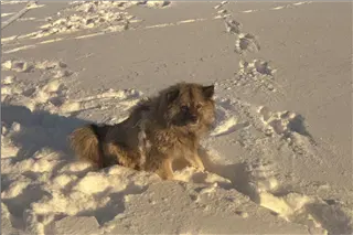 small_9400 1218 cew familyIMG0068.webp